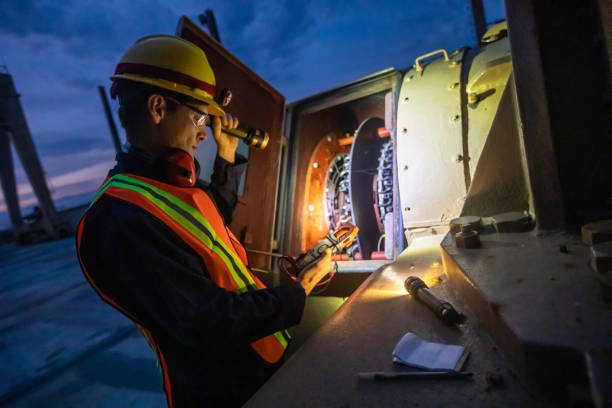 Best Electrician for Home Renovation  in Le Roy, IL