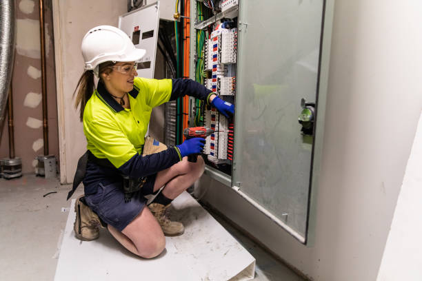 Best Generator Installation Services  in Le Roy, IL