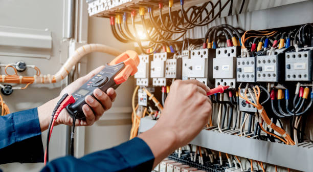 Best Ceiling Fan Installation Electrician  in Le Roy, IL