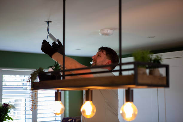 Best Home Electrical Repair  in Le Roy, IL