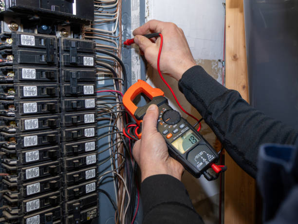 Best Home Electrical Repair  in Le Roy, IL