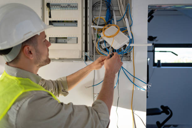Best Electrical System Inspection  in Le Roy, IL