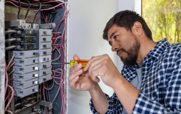 Best Electrician for Home Renovation  in Le Roy, IL